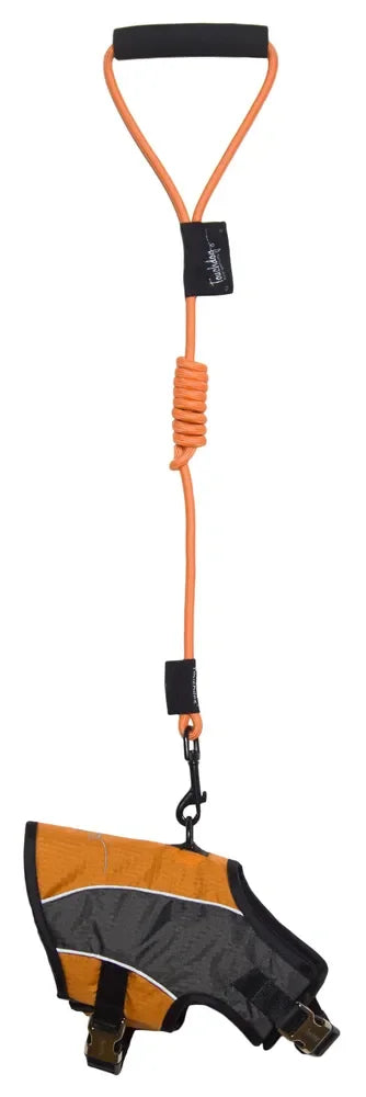 2 In 1 Premium Performance Adjustable Dog Harness And Leash Reflective Polyester And Oxford Nylon