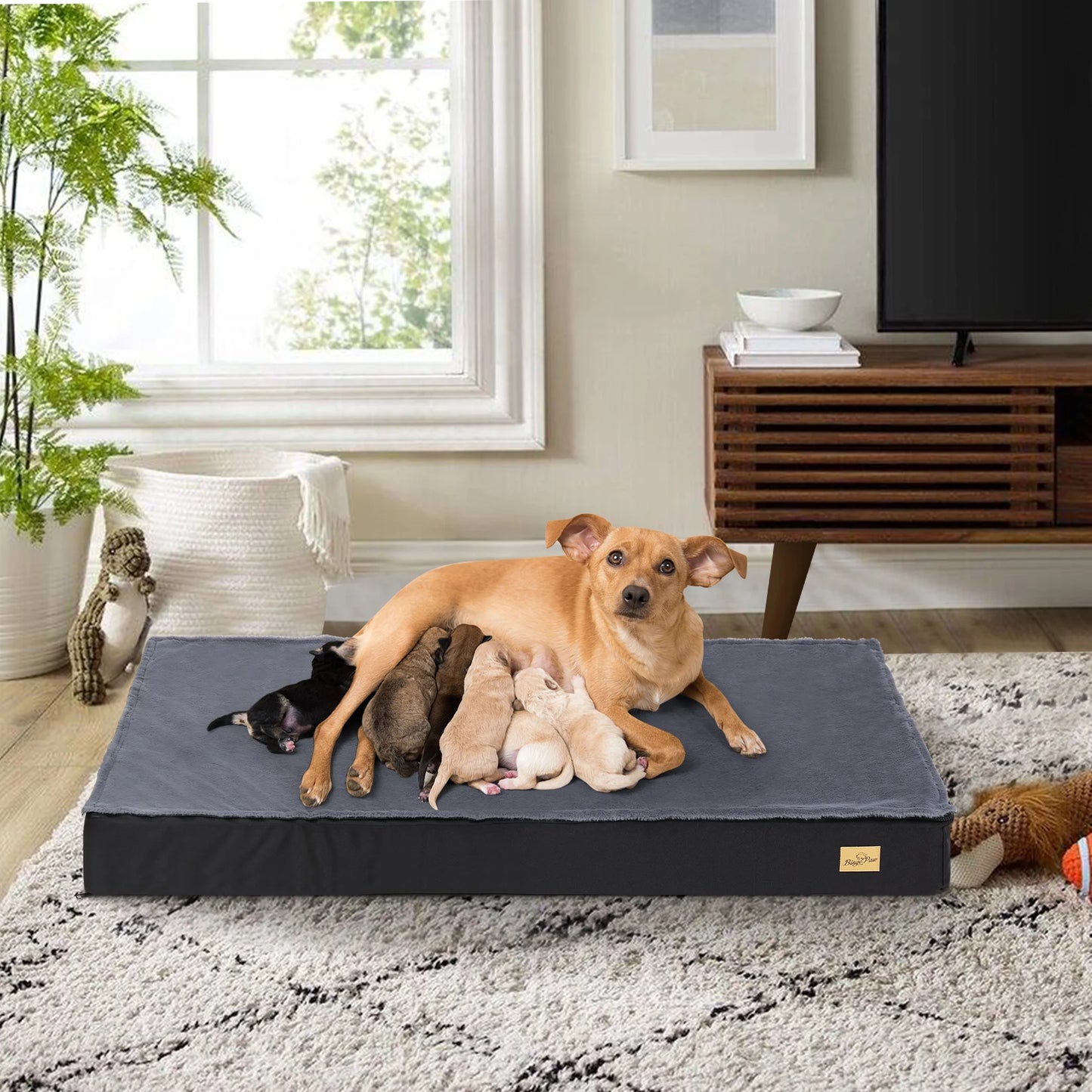 Washable Orthopedic Dog Bed For Large Dogs With Foam Sponge