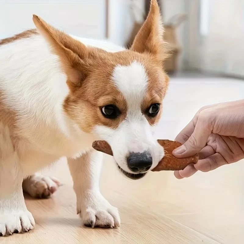 Natural Jerky Dog Treats Chewable Protein Snacks with Chicken Turkey Salmon Beef Duck Dental Health Treats for All Dog Sizes