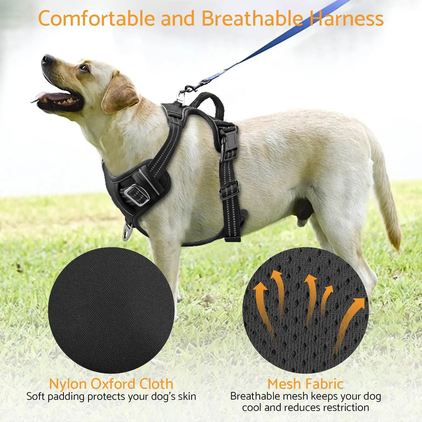 No Pull Adjustable Dog Harness for Large Dogs with 2 Leash Clips Reflective No Choke Soft Padded Vest with Breathable Mesh