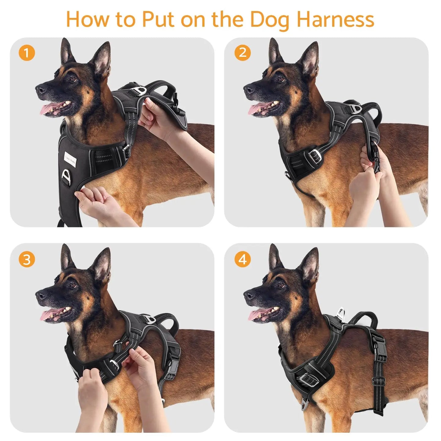 No Pull Adjustable Dog Harness for Large Dogs with 2 Leash Clips Reflective No Choke Soft Padded Vest with Breathable Mesh