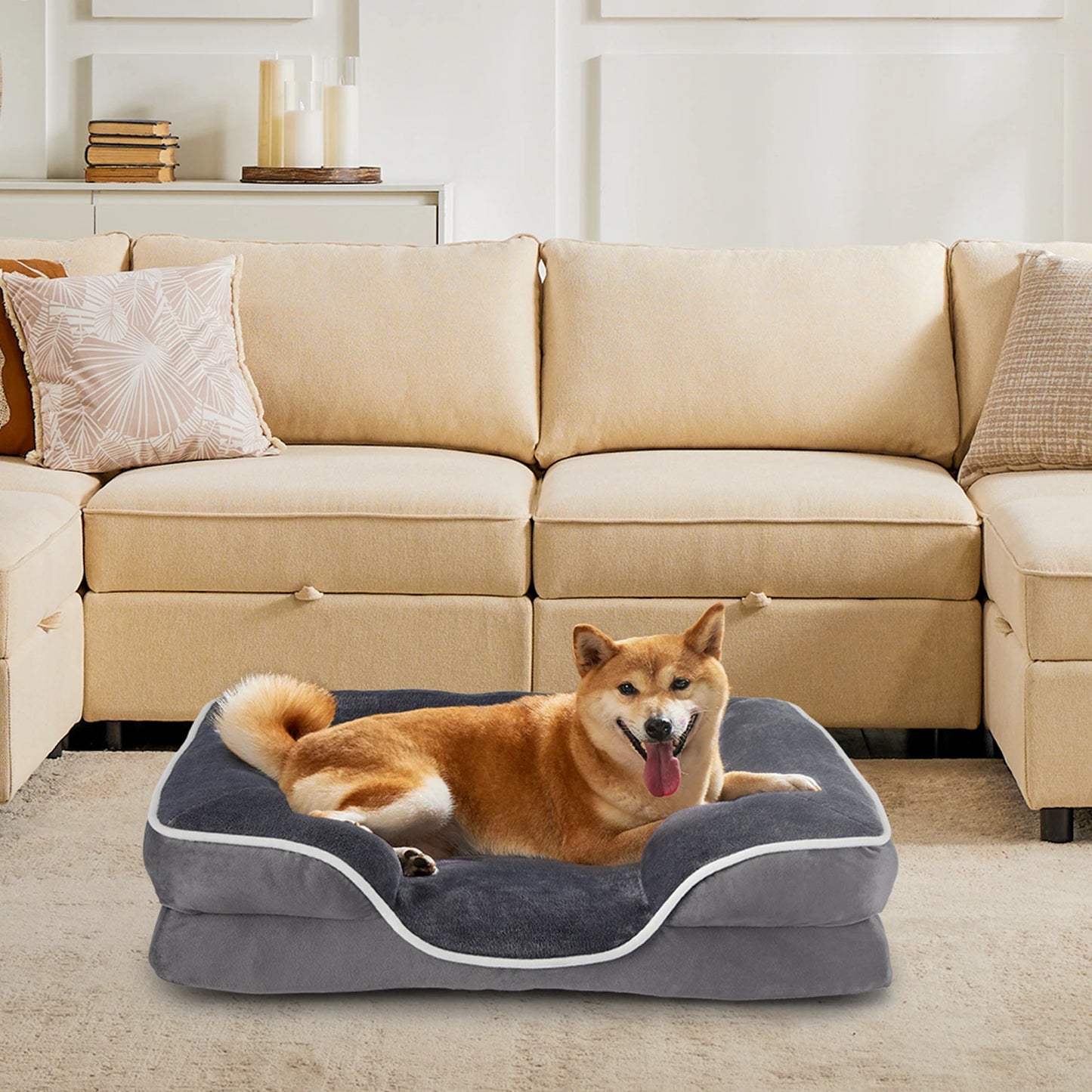 JHK Orthopedic Memory Foam Dog Bed for Small Dogs and Cats