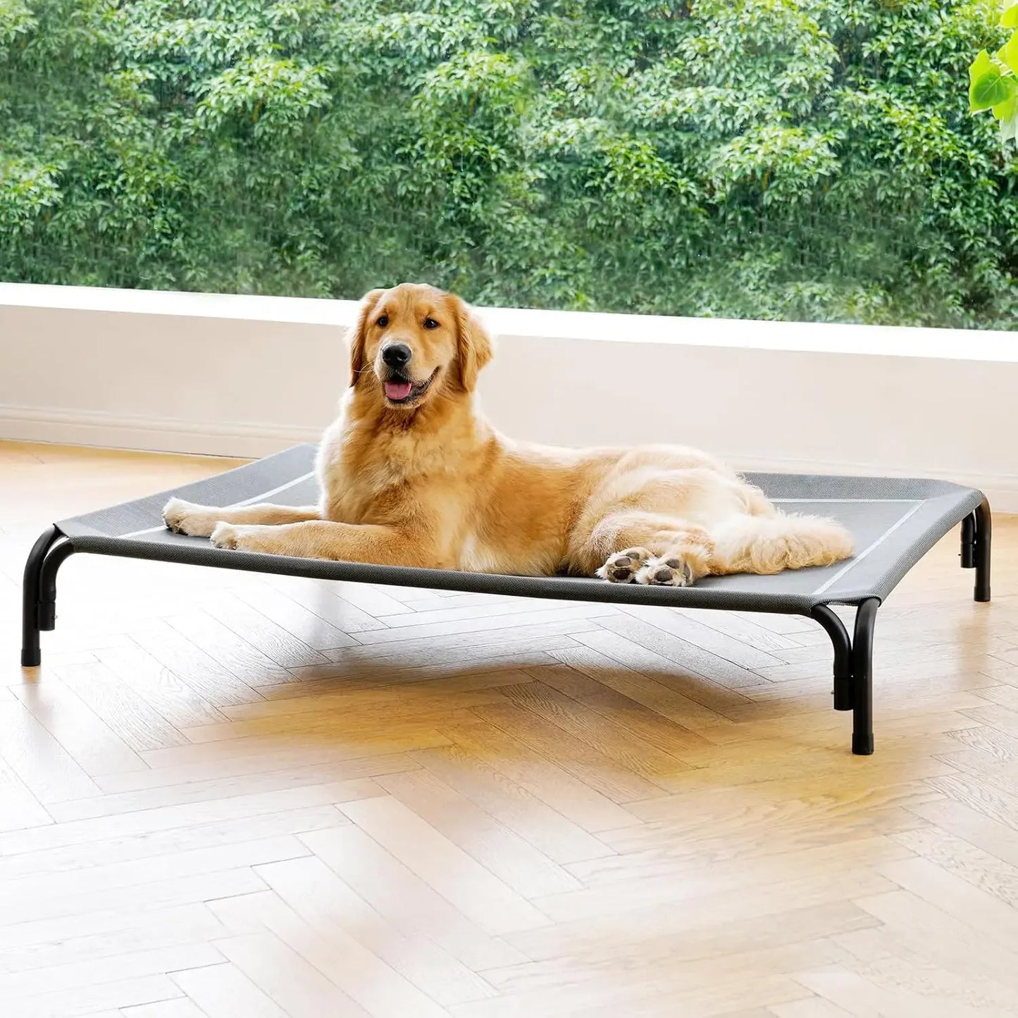 Elevated Dog Bed Raised Outdoor Dog Cot for Extra Large Dogs No Tools Assembly Washable Cooling