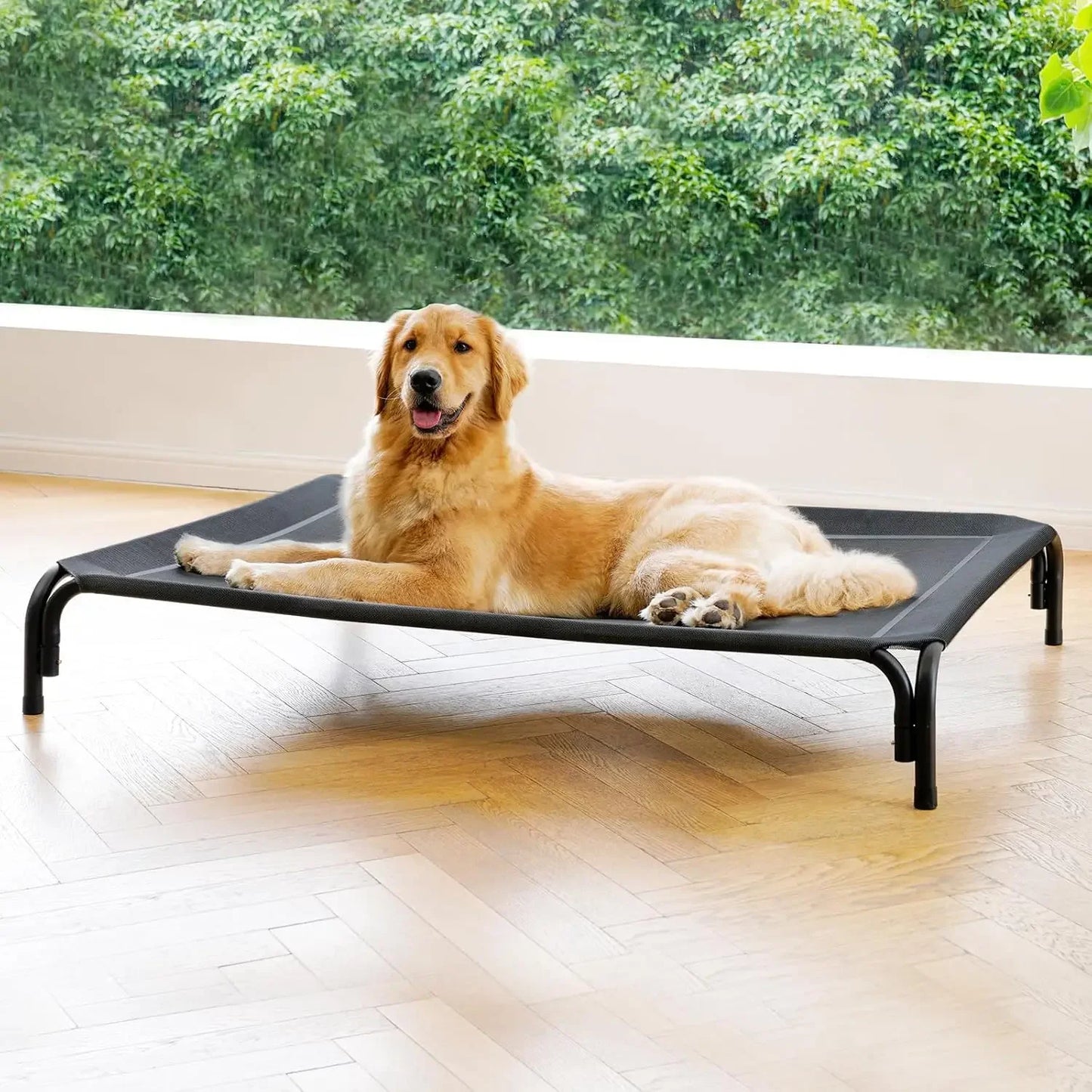 Elevated Dog Bed Raised Outdoor Dog Cot for Extra Large Dogs No Tools Assembly Washable Cooling