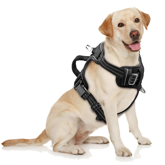 No Pull Adjustable Dog Harness for Large Dogs with 2 Leash Clips Reflective No Choke Soft Padded Vest with Breathable Mesh