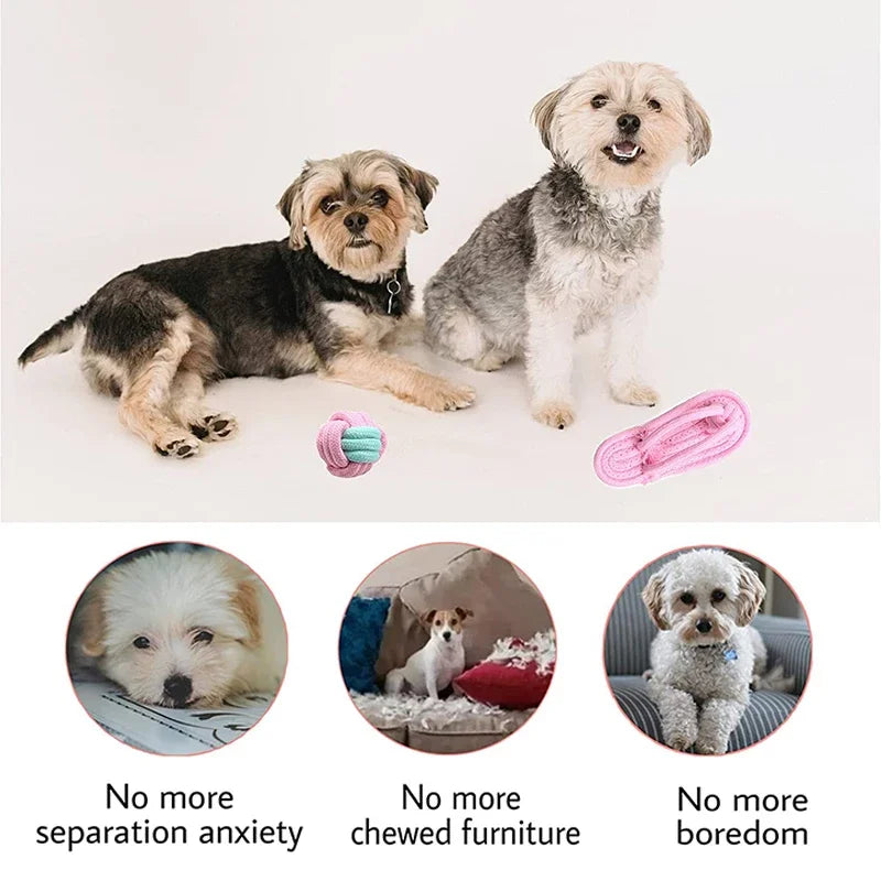 12PCS Pet Dog Chew Toy Set for Small and Large Dogs Interactive Dog Ball Accessories Puppy Training Toys