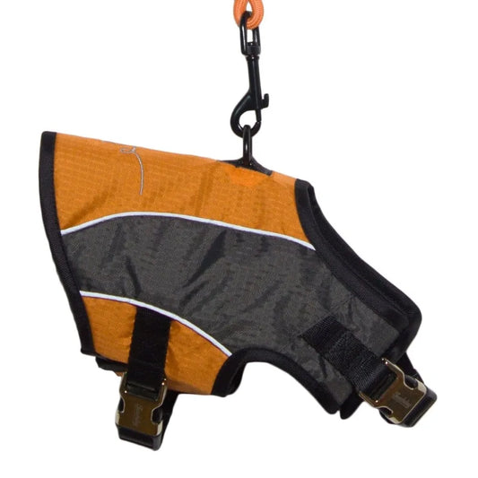 2 In 1 Premium Performance Adjustable Dog Harness And Leash Reflective Polyester And Oxford Nylon