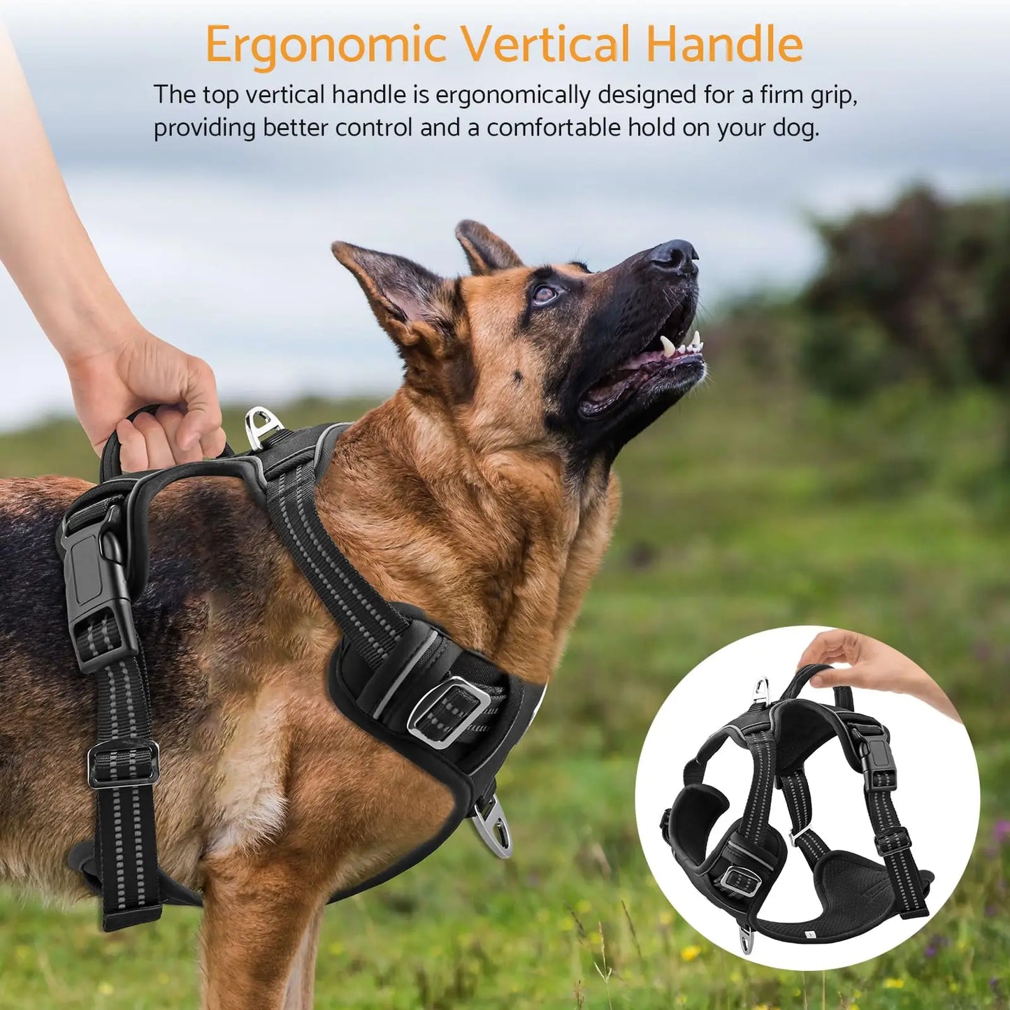 No Pull Adjustable Dog Harness for Large Dogs with 2 Leash Clips Reflective No Choke Soft Padded Vest with Breathable Mesh